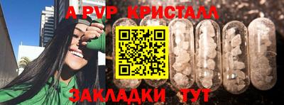 наркотики Кингисепп