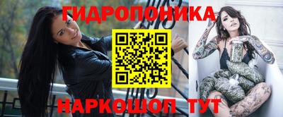 наркотики Кингисепп