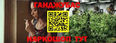 наркотики Кингисепп