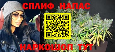 наркотики Кингисепп