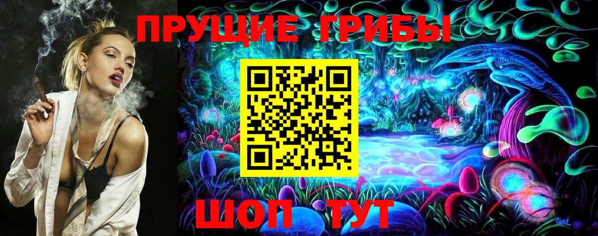 Керчь  Псилоцибиновые грибы Psilocybe  Вход с VPN 